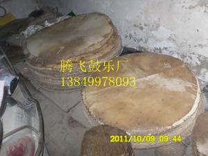优质水牛鼓皮 羊皮 鼓皮厂家